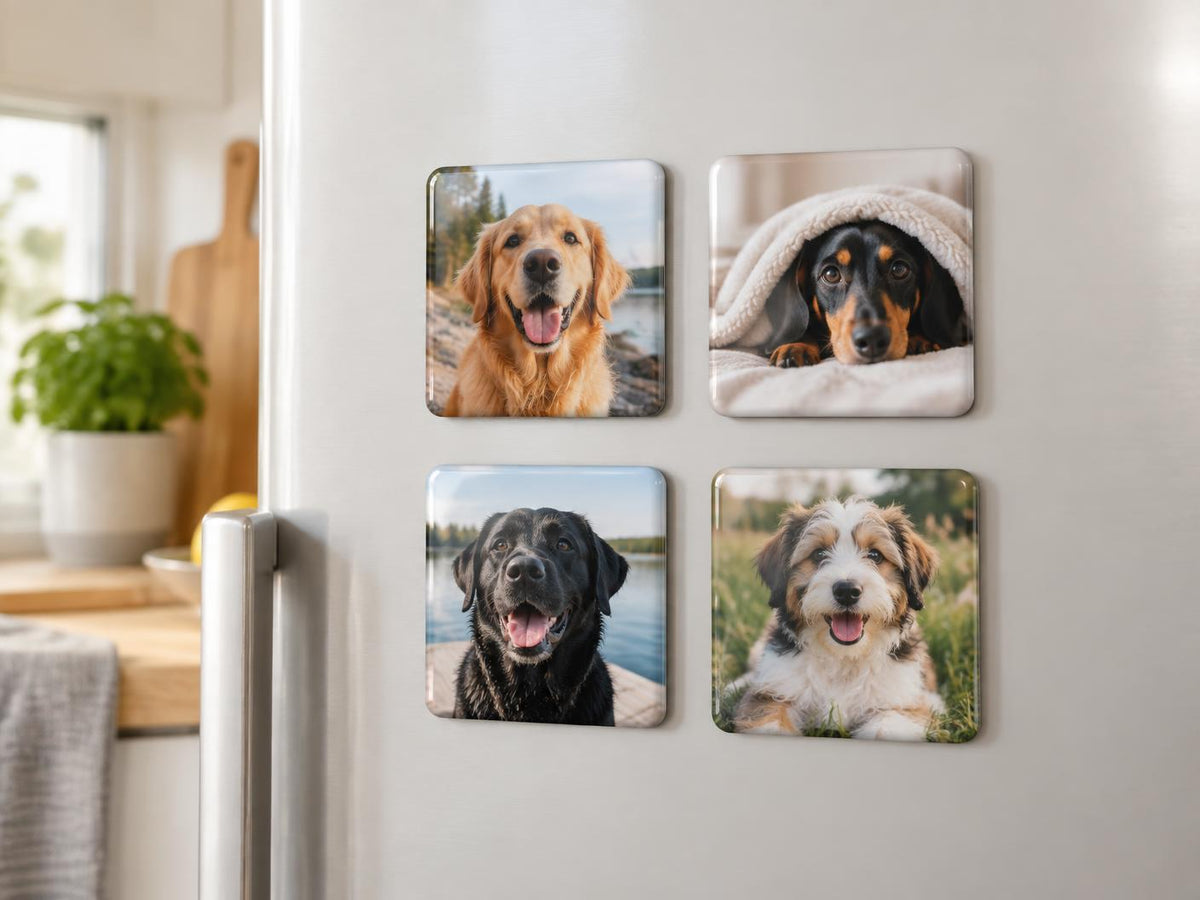 Fyra personliga fotomagneter med hundbilder på kylskåp